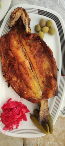 عکس مطبخ تیهو