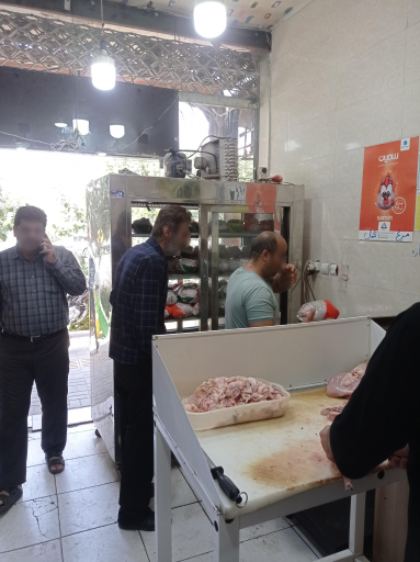 عکس مرغ و ماهی مهران