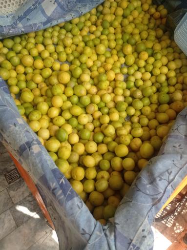 عکس آبمیوه گیری ترشی فروشی و تصفیه گوجه فرنگی طبیعت