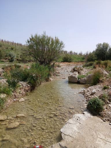 عکس فارس