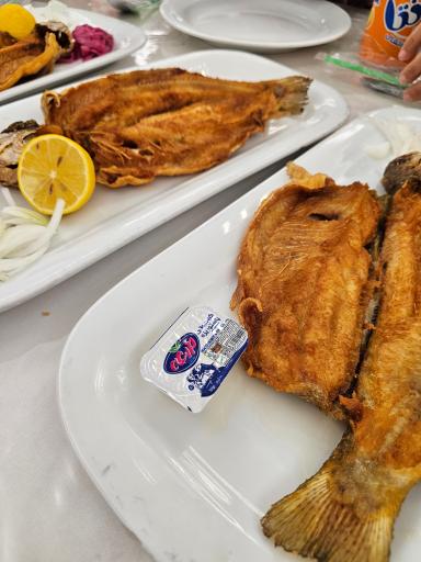 عکس رستوران و تالار بزرگ اکبرجوجه