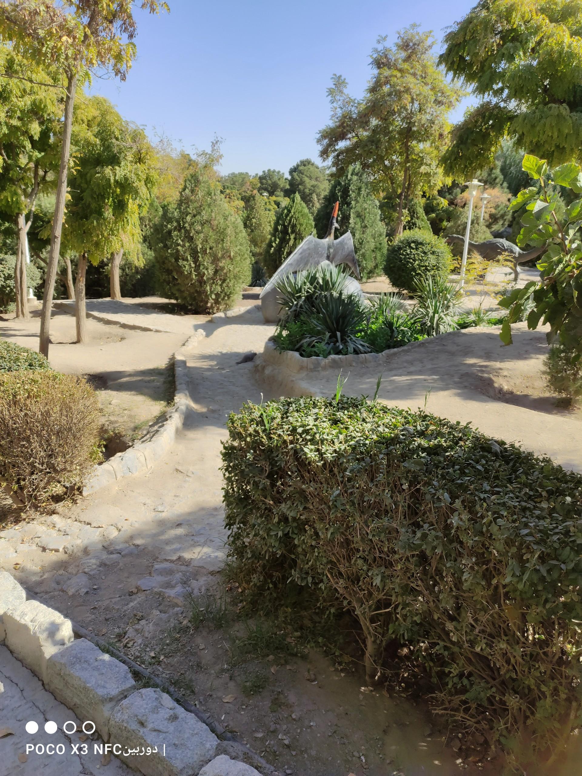 عکس کوه صفه