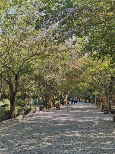 عکس کوه صفه