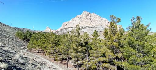 عکس کوه صفه