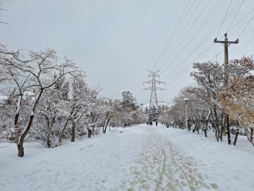 عکس کوه صفه