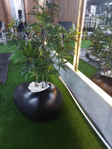 عکس باشگاه ورزشی دلاریس