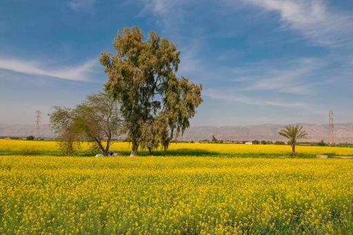 عکس بهبهان