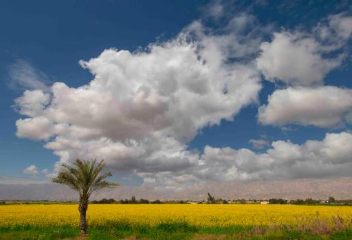 عکس بهبهان