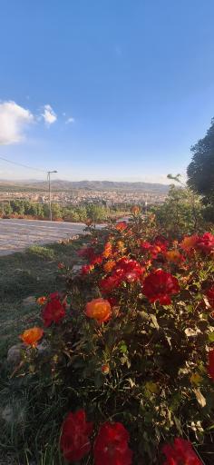 عکس بام ملایر