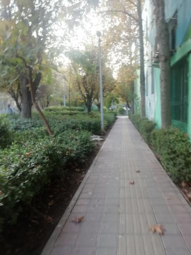 عکس بوستان شهدای طوس