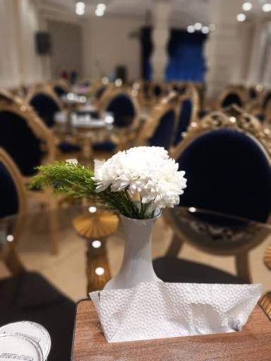 عکس تالار نمونه