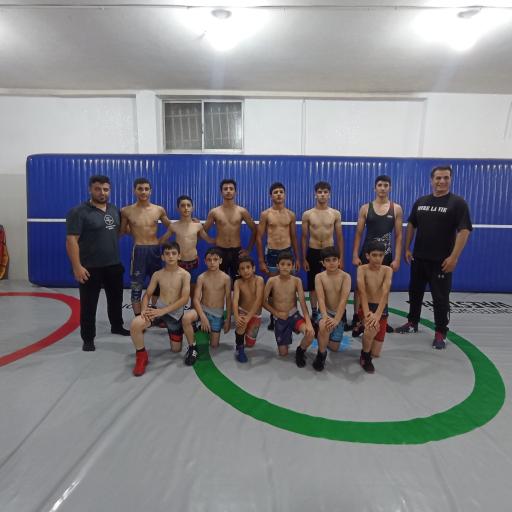 عکس باشگاه ایرانیان