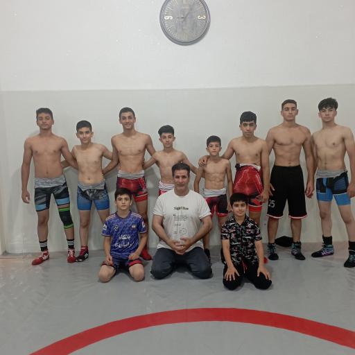 عکس باشگاه ایرانیان