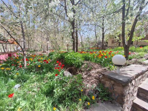 عکس رستوران گل سرخ