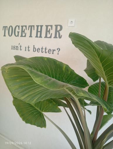 عکس Tigether cafe