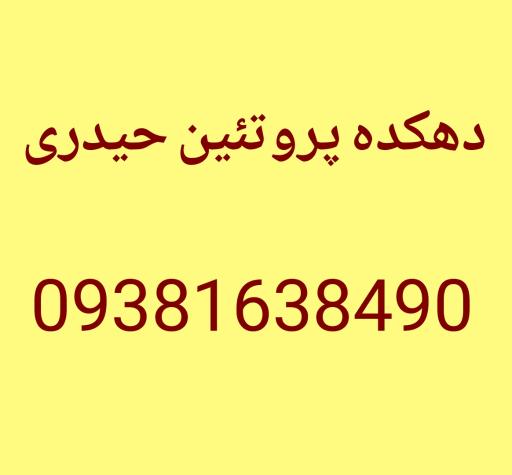 عکس دهکده پروتئین حیدری 