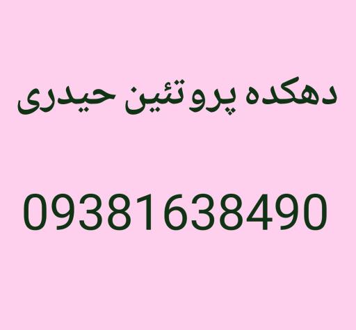 عکس دهکده پروتئین حیدری 