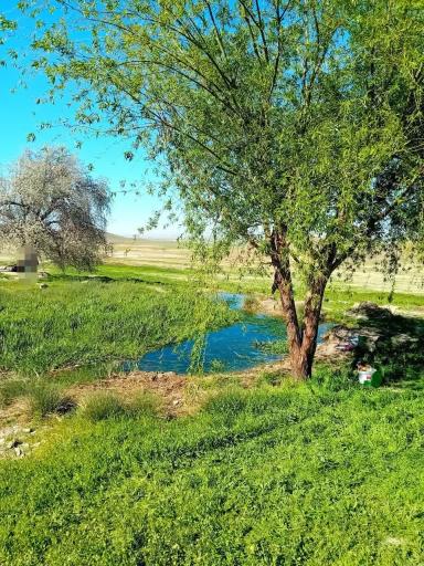 عکس مشهد الکوبه
