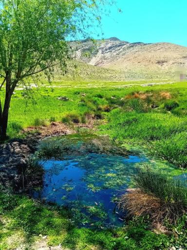 عکس مشهد الکوبه
