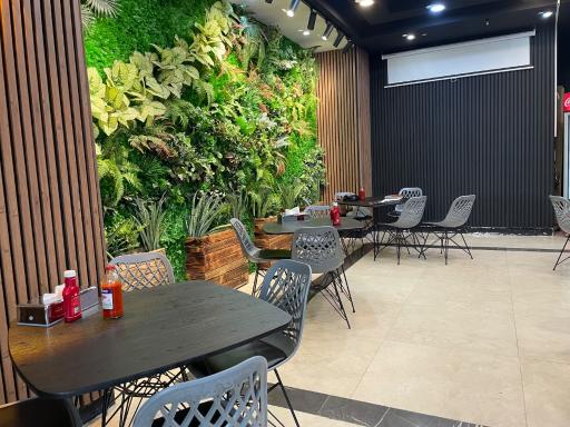 عکس پیتزاریوم 