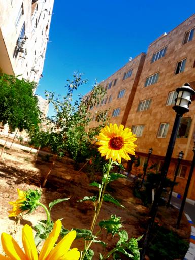 مجتمع مسکونی کادوس