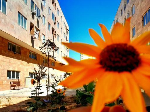 مجتمع مسکونی کادوس