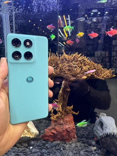 نمایندگی فروش محصولات موتورولا و دوجی اسپانیا