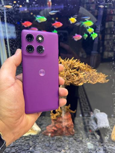عکس نمایندگی فروش محصولات موتورولا و دوجی اسپانیا