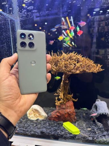 نمایندگی فروش محصولات موتورولا و دوجی اسپانیا