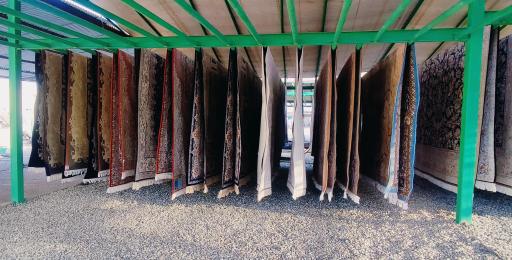 عکس قالیشویی صابر