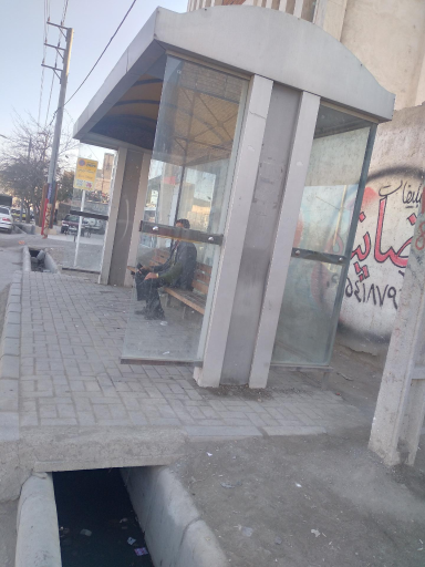 عکس  زرکش