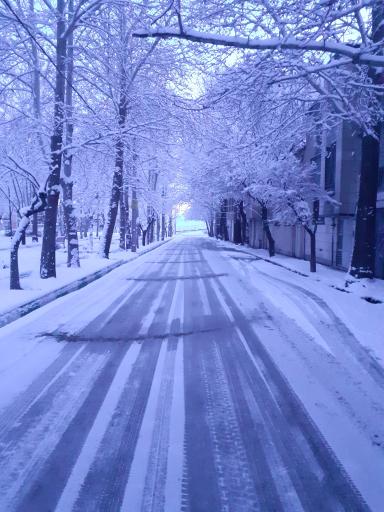 عکس پارک شقایق