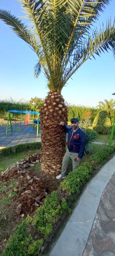 عکس مجتمع اقامتی شهرداری مشهد