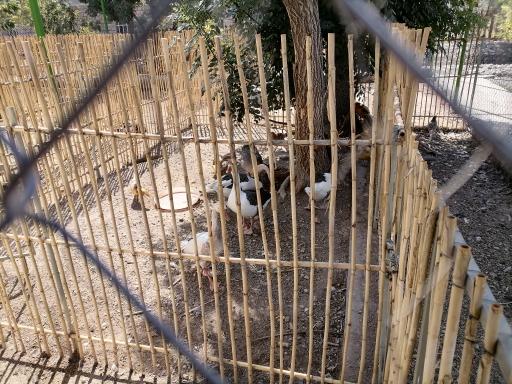 عکس مجتمع فرهنگی مهارتی و رشدخلاقیت کودک روستاک کودک