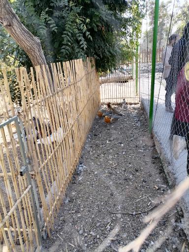 عکس مجتمع فرهنگی مهارتی و رشدخلاقیت کودک روستاک کودک