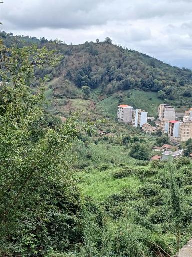 عکس لاهیجان