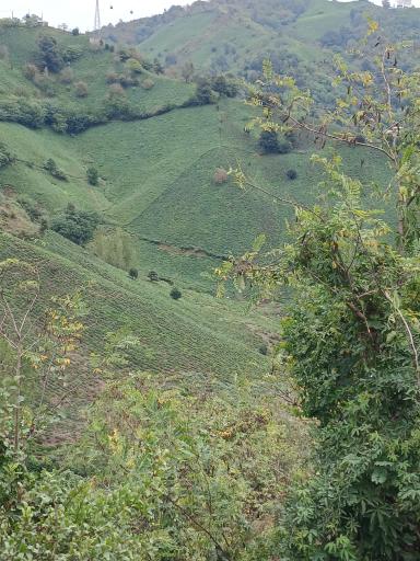 عکس لاهیجان