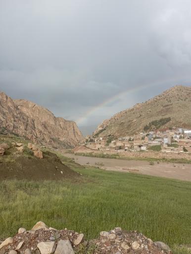 عکس معمولان