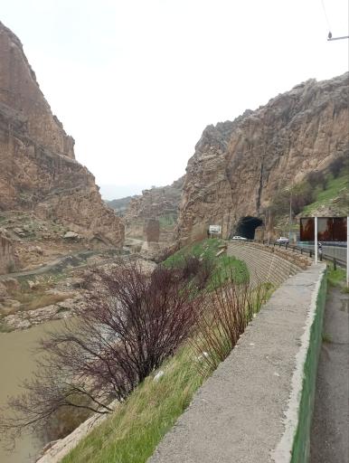 عکس معمولان