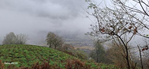 عکس لاهیجان