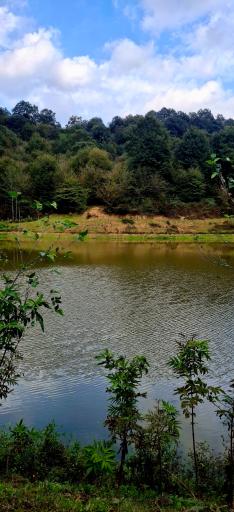 عکس لاهیجان