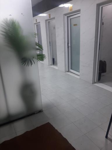 عکس مجتمع خدماتی رفاهی پالادیوم 