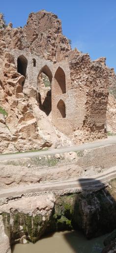 عکس معمولان