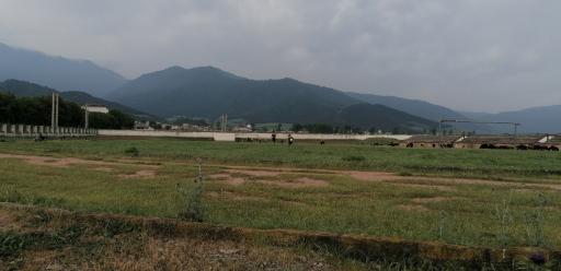 عکس زمین چمن روستای پیچک محله 