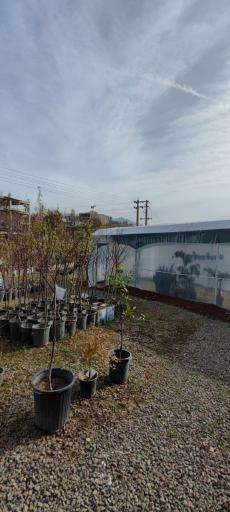 عکس املاک داران جهان