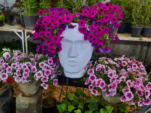 عکس بازار بین المللی گل و گیاه سپاهان