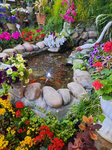 عکس بازار بین المللی گل و گیاه سپاهان