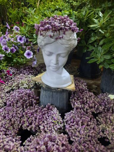 عکس بازار بین المللی گل و گیاه سپاهان