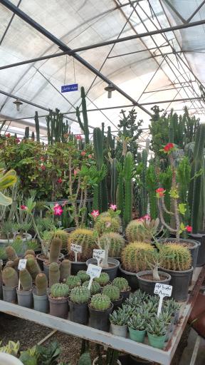 بازار بین المللی گل و گیاه سپاهان