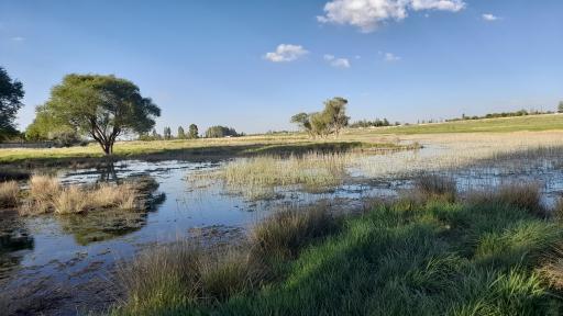 عکس سرچشمه سراب قروه